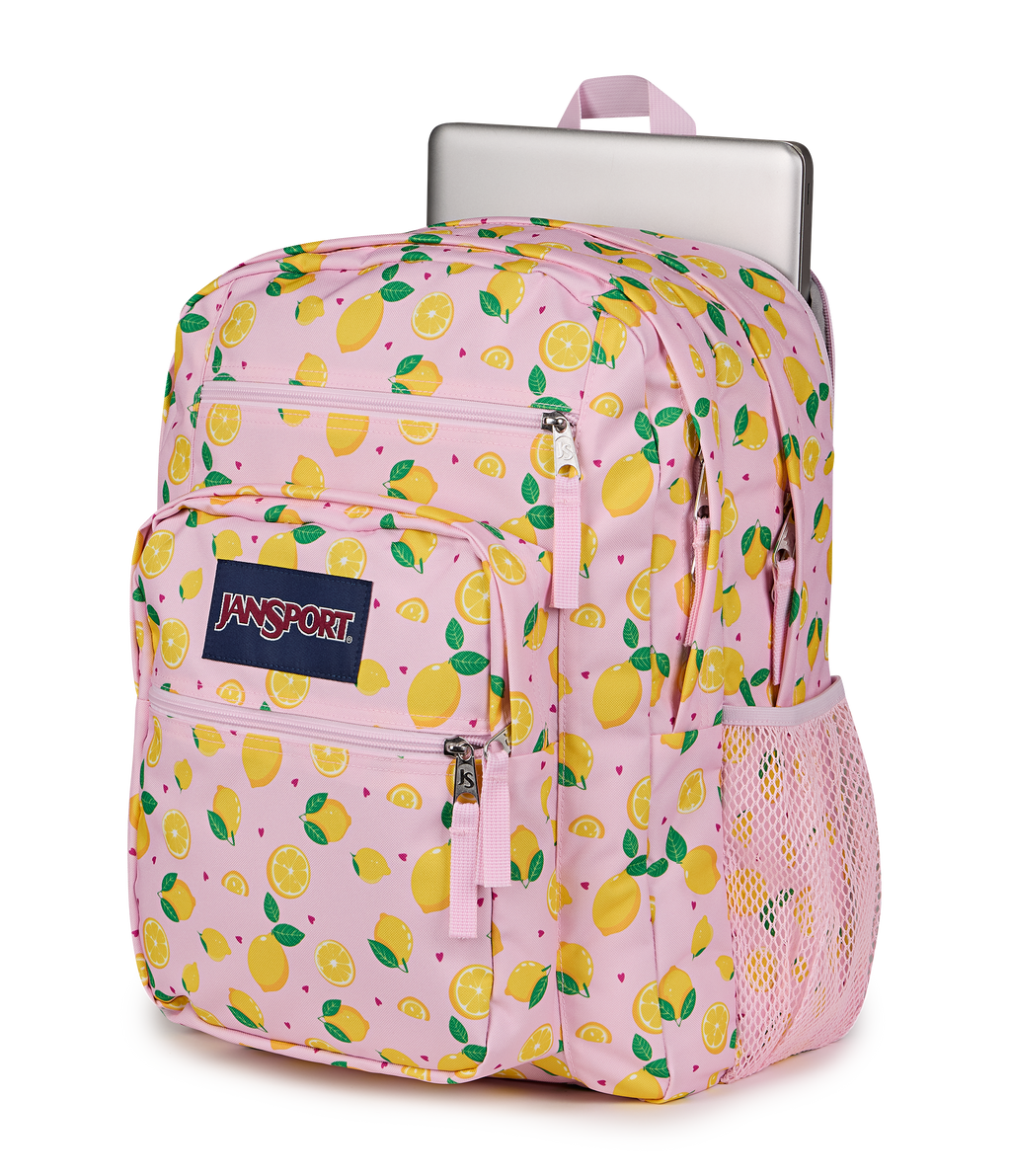 Big Student Lemonade Stand Set