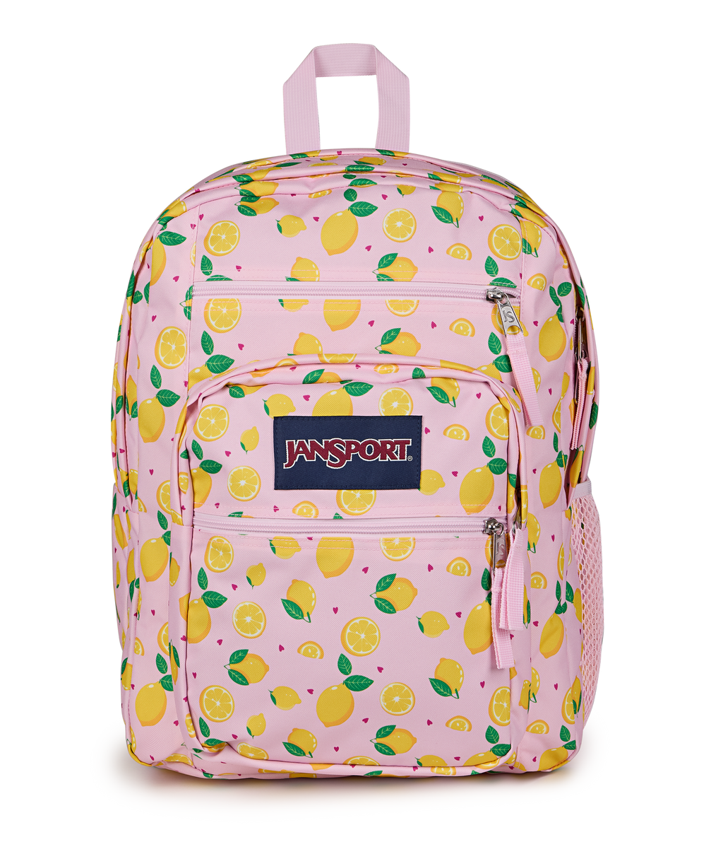 Big Student Lemonade Stand Set