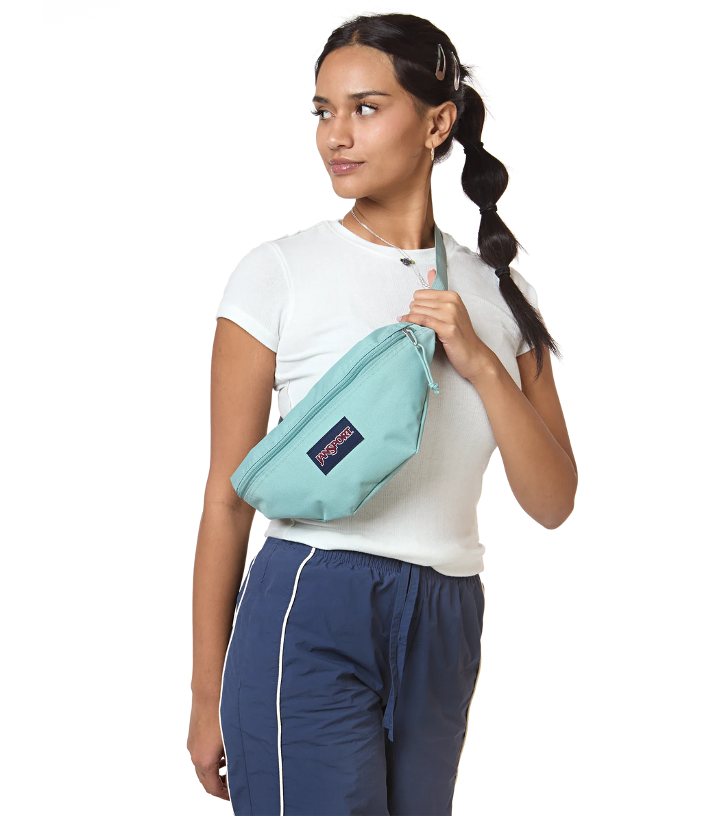Swing Waistpack